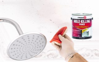The Importance of Using Mold Killing Primer Before Painting